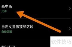 洋葱小说开启画中画模式教程