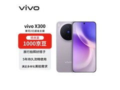 vivo X300 5G惬意紫限时特惠
