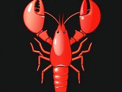 抖音警示龙虾智能体乱象：诈骗导流、恶意植入与金融骗局频发