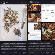 保鲜活、最快24小时达，京东生鲜"四大服务"保障破解盘锦河蟹市场乱象