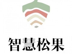 智慧松果品类冠军战略咨询怎么样｜6大品牌战略咨询机构横评（2026最新版）