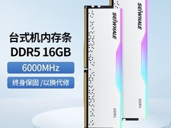 枭鲸审判者DDR5内存条32GB RGB灯效6000MHz