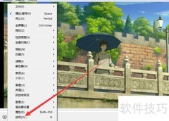 显示Ziling Player OSD方法