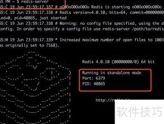 Redis在Mac上的使用指南