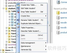 Maestro导出表记录为RTF