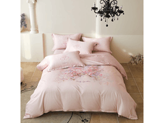 兰芮100支刺绣四件套189元