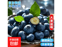 国产云南超大果蓝莓4盒装，券后18.9元，满减优惠多