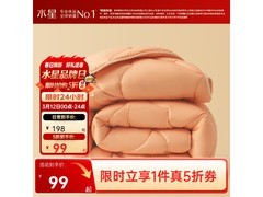 百丽丝A类加厚七孔被芯，晚八5折99元