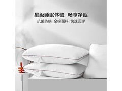 百丽丝全棉抗菌防螨枕芯一对