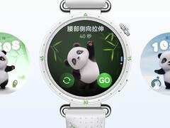 2026年自定义表盘智能手表怎么选？存储和显示逐项看