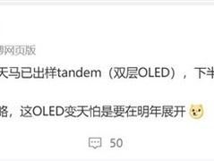 天马双层OLED量产在即，明年市场或迎变局