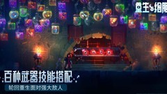 重生细胞新手通关技巧