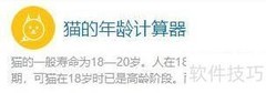 猫的年龄计算器使用指南