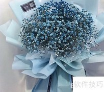 满天星的特点描写技巧