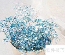 满天星花语解析