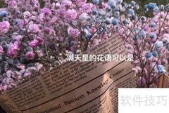 满天星的特点描写技巧