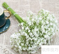 满天星干花DIY教程