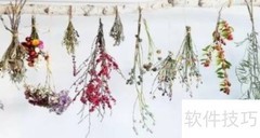 满天星干花DIY教程