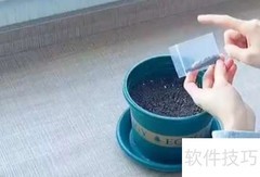 满天星种植方法与技巧
