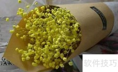 满天星颜色寓意解析