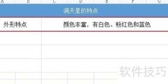 满天星特点描写技巧