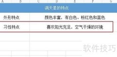 满天星特点描写技巧