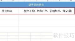 满天星的特点描写技巧