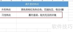 满天星的特点描写技巧