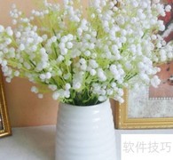满天星保存方法