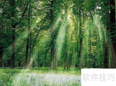 香水选购指南：轻松选对心仪香