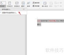 Word错别字校对功能详解