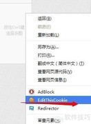 Edit This Cookie 使用指南