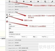 Edit This Cookie 使用指南