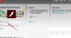 Flash控件下载方法指南