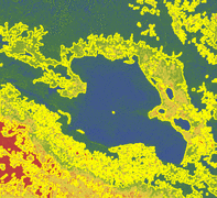 Mathematica形态学二值化