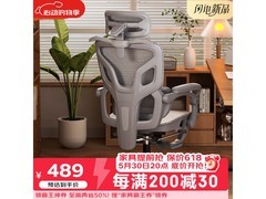 联丰E-65CG-1人体工学椅489元