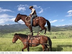 OpenAI发布Sora 2并推全AI生成视频社区