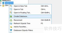 DbVisualizer创建数据库指南