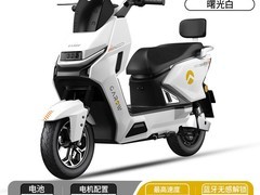 金箭风暴 PLUS 至尊版电摩直降710元