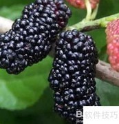 病理性脱发原因解析