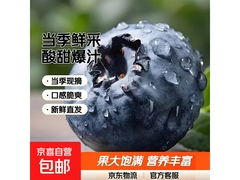 云南高山蓝莓鲜果4盒，满5减4仅16.9元速抢！