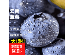 云南高山头茬蓝莓，4 盒 70g 装券后仅 16.9 元！