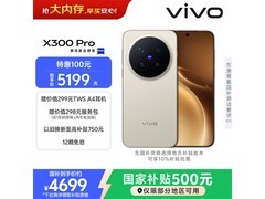 vivo X300 Pro旷野棕限时特惠