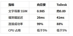 向日葵远程 vs ToDesk 对比横评：远程跑大数据表格分析谁更跟手？
