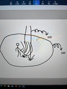 战魂铭人：剑雨连招技巧解析