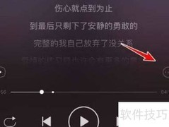 网易云音乐歌词纠错方法