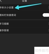 成语大词典字体设置技巧