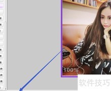 彩影垂直翻转功能使用指南