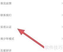 少女与猫实名认证查看方法