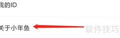 小年鱼查看方法详解